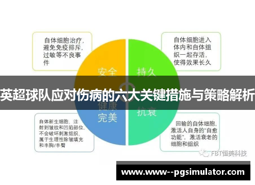 英超球队应对伤病的六大关键措施与策略解析 英超球队应对伤病的六大关键措施与策略解析