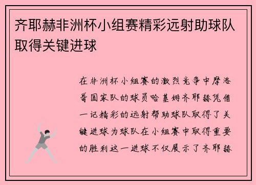 齐耶赫非洲杯小组赛精彩远射助球队取得关键进球