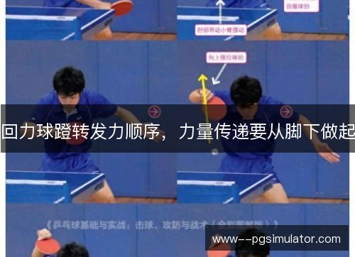 回力球蹬转发力顺序，力量传递要从脚下做起